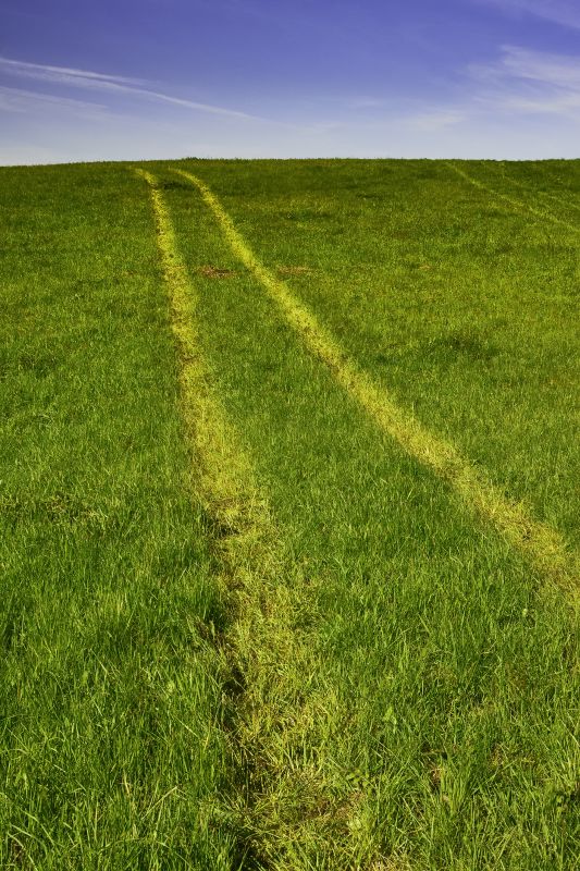 Field Lines Repair